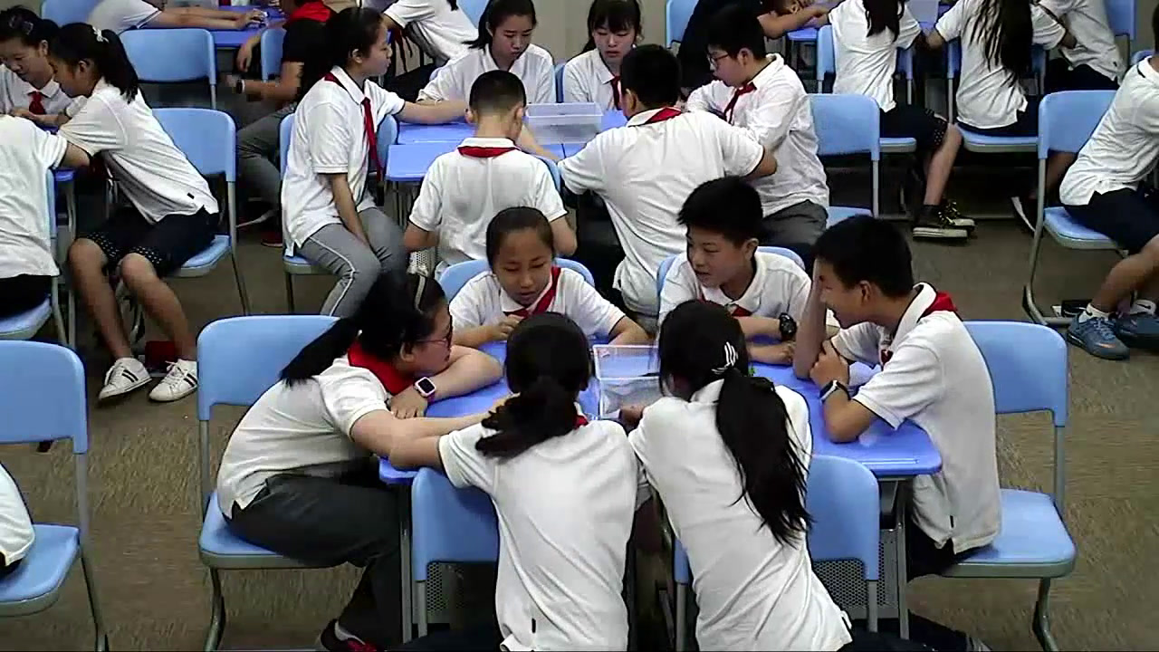 教科版科学六上《6.原来是相互关联的》浙江周老师-全国一等奖
