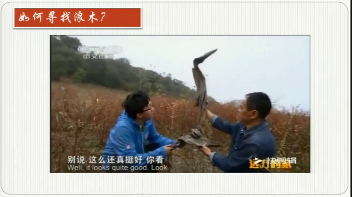 人美版美术七下《松花湖浪木（吉林）》吉林李老师-全国一等奖