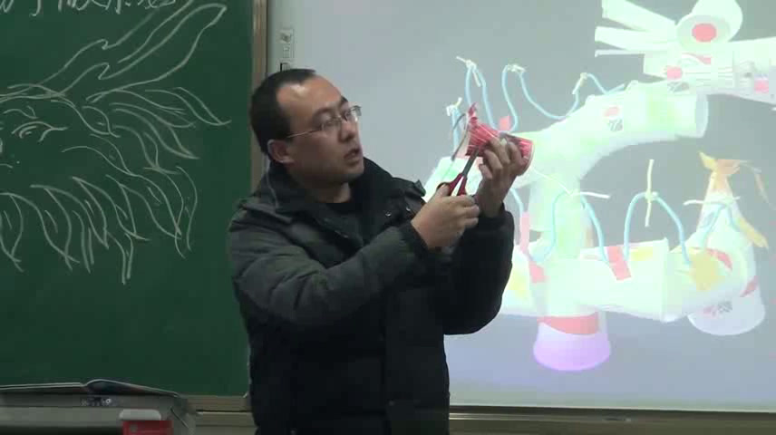 人美版美术七上《3.大家动手做条龙》甘肃李老师-县级优课