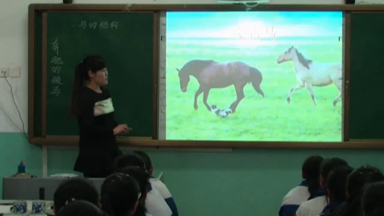 人美版美术八下《15.综合练习》内蒙金老师-市一等奖