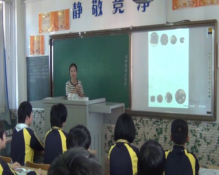 人美版美术九上《1.形式美及其法则》辽宁唐老师-市一等奖