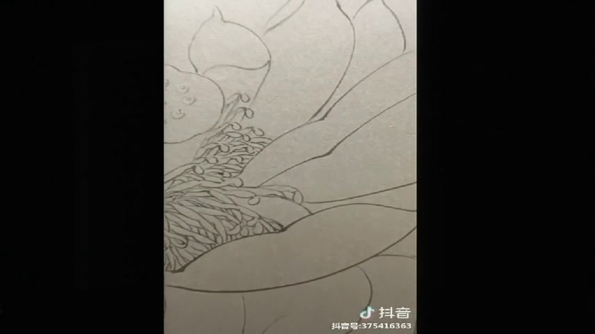 人美版美术九上《4.工笔花卉》辽宁刘老师-县级优课