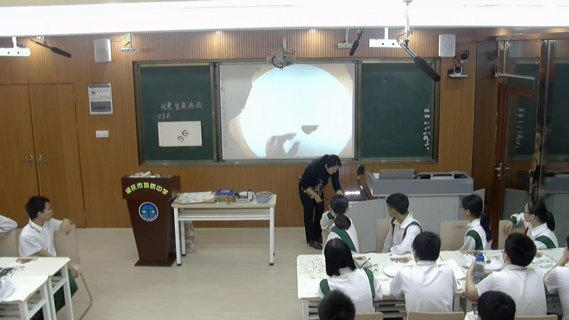 岭南社版美术八上《3鸟语花香》广东叶老师-省一等奖