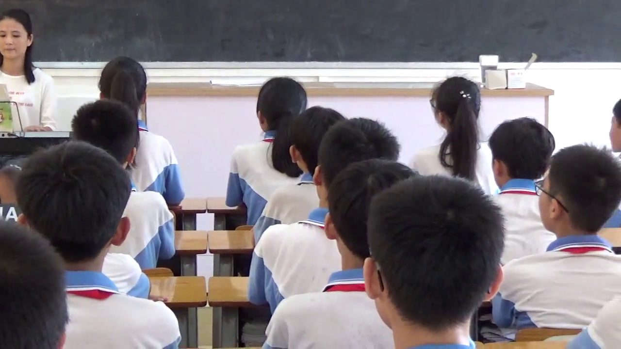 湘文艺版本音乐六上《（演唱）老鸟，小鸟》广东潘老师-县级优课