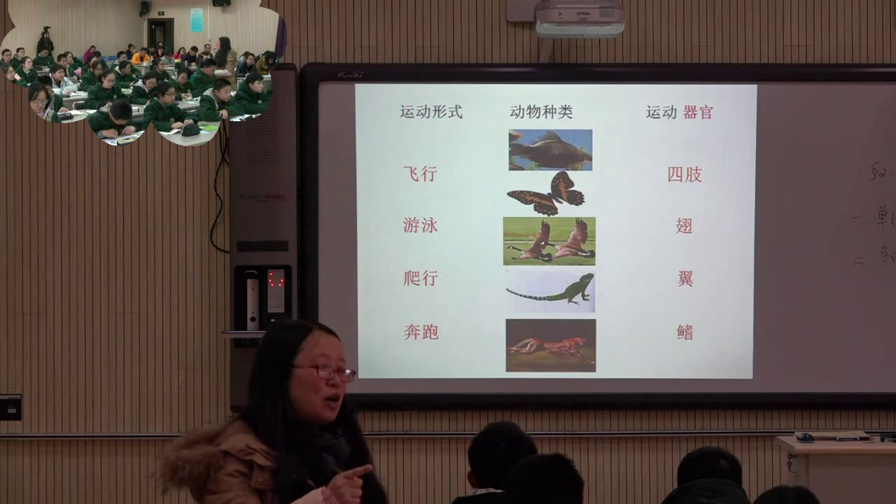 苏教版生物八上《第二节动物运动依赖于一定的结构》江苏周老师-市一等奖