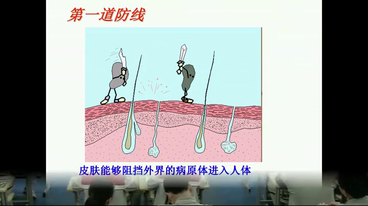 苏教版生物八下《第三节免疫》江苏刘老师-市一等奖