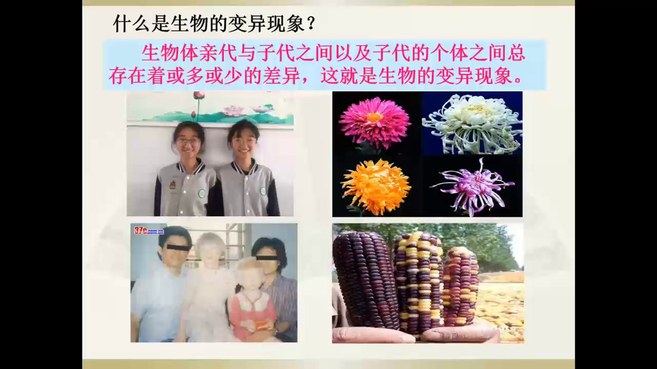 苏教版生物八下《第五节生物的变异》安徽蔡老师-市一等奖
