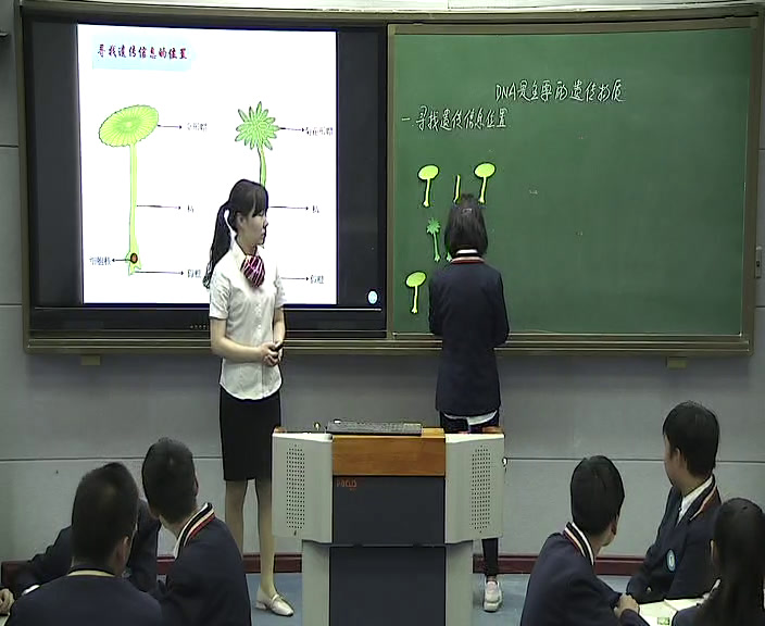 苏教版生物八下《第一节DNA是主要的遗传物质》河南高老师-全国一等奖
