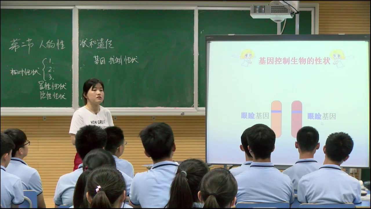 苏教版生物八下《第二节人的性状和遗传》安徽侯老师-市一等奖