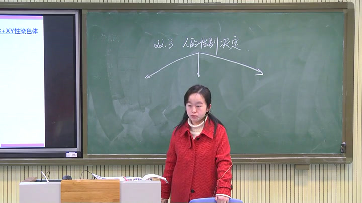 苏教版生物八下《第三节人的性别决定》江苏张老师-市一等奖