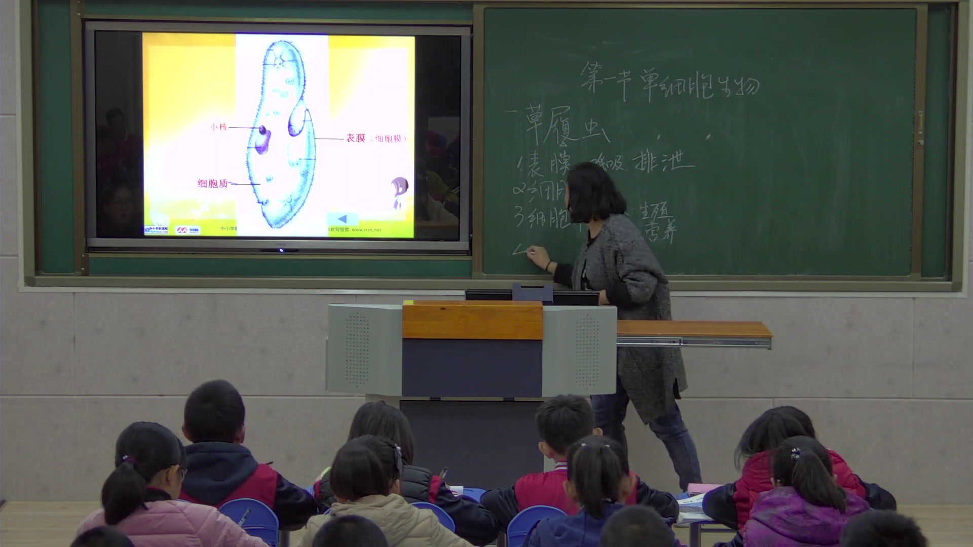苏教版生物七上《第一节单细胞生物》辽宁王老师-市一等奖