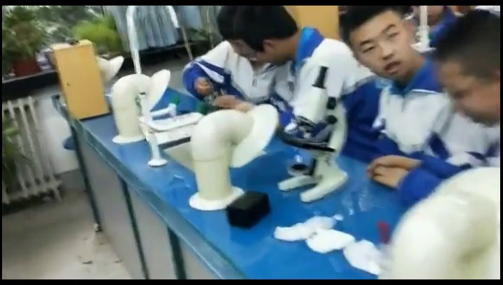 苏教版生物七上《第二节植物光合作用的场所》甘肃王老师-省一等奖