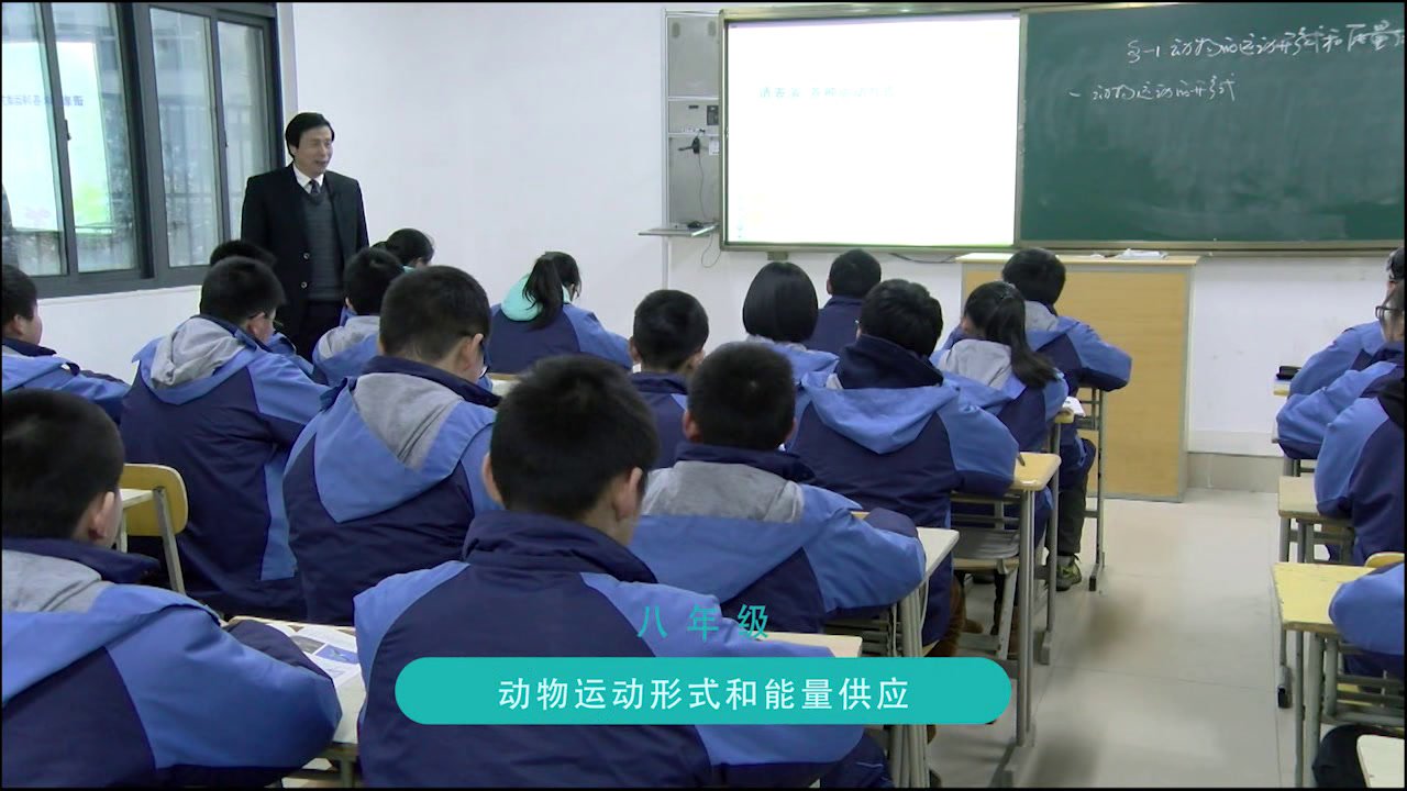 苏教版生物八上《第一节动物运动的形式和能量供应》安徽甘老师-市一等奖
