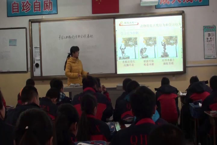 苏教版生物八上《第二节动物行为的生理基础》山西李老师-市一等奖
