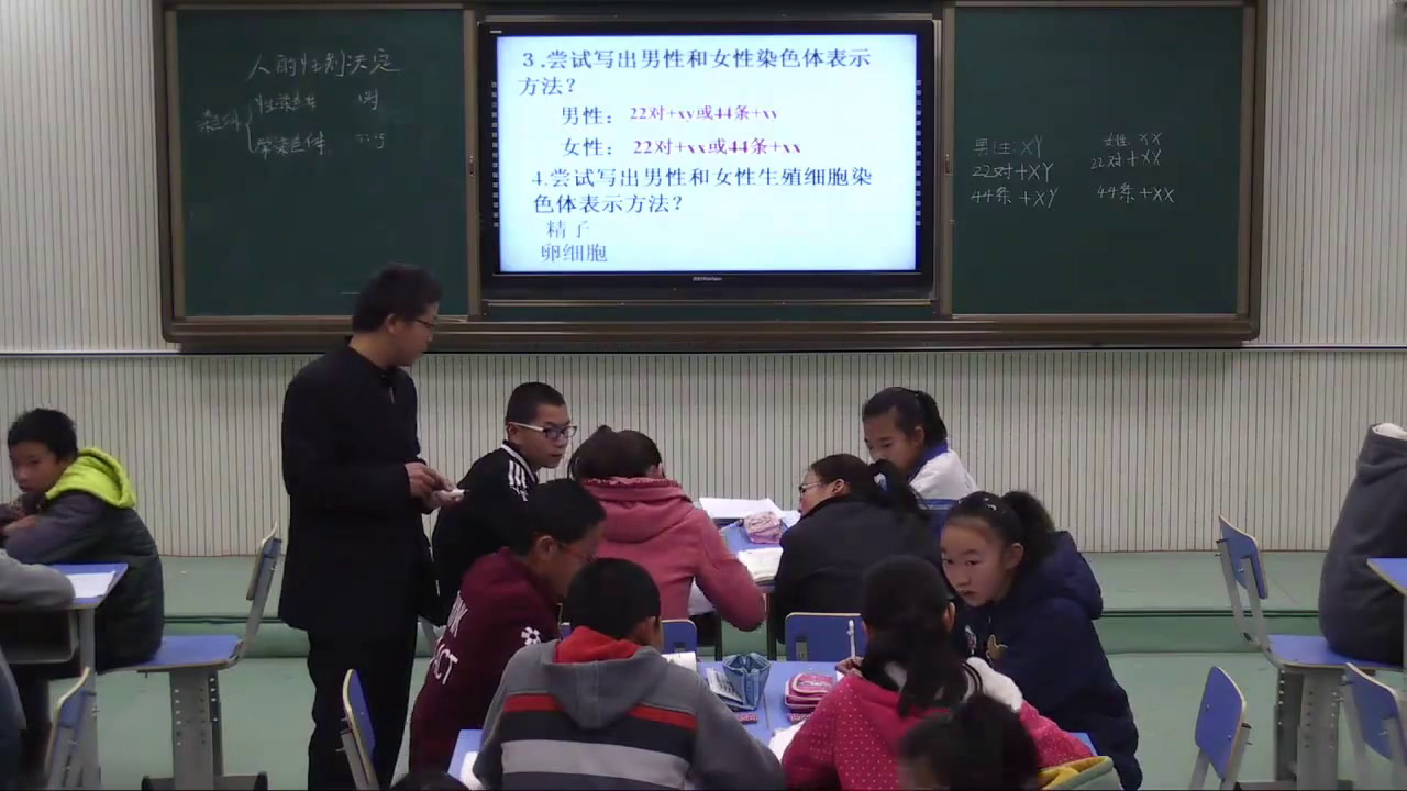 苏教版生物八下《第三节人的性别决定》甘肃田老师-省一等奖