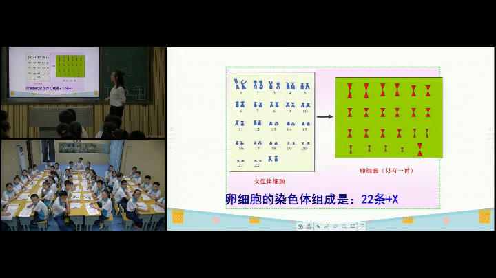 苏教版生物八下《第三节人的性别决定》湖南帅老师-全国一等奖