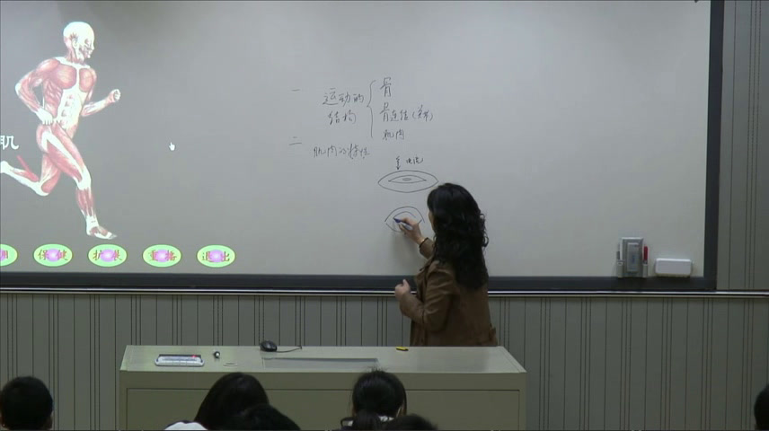 苏教版生物八上《第二节动物运动依赖于一定的结构》江苏谢老师-市一等奖