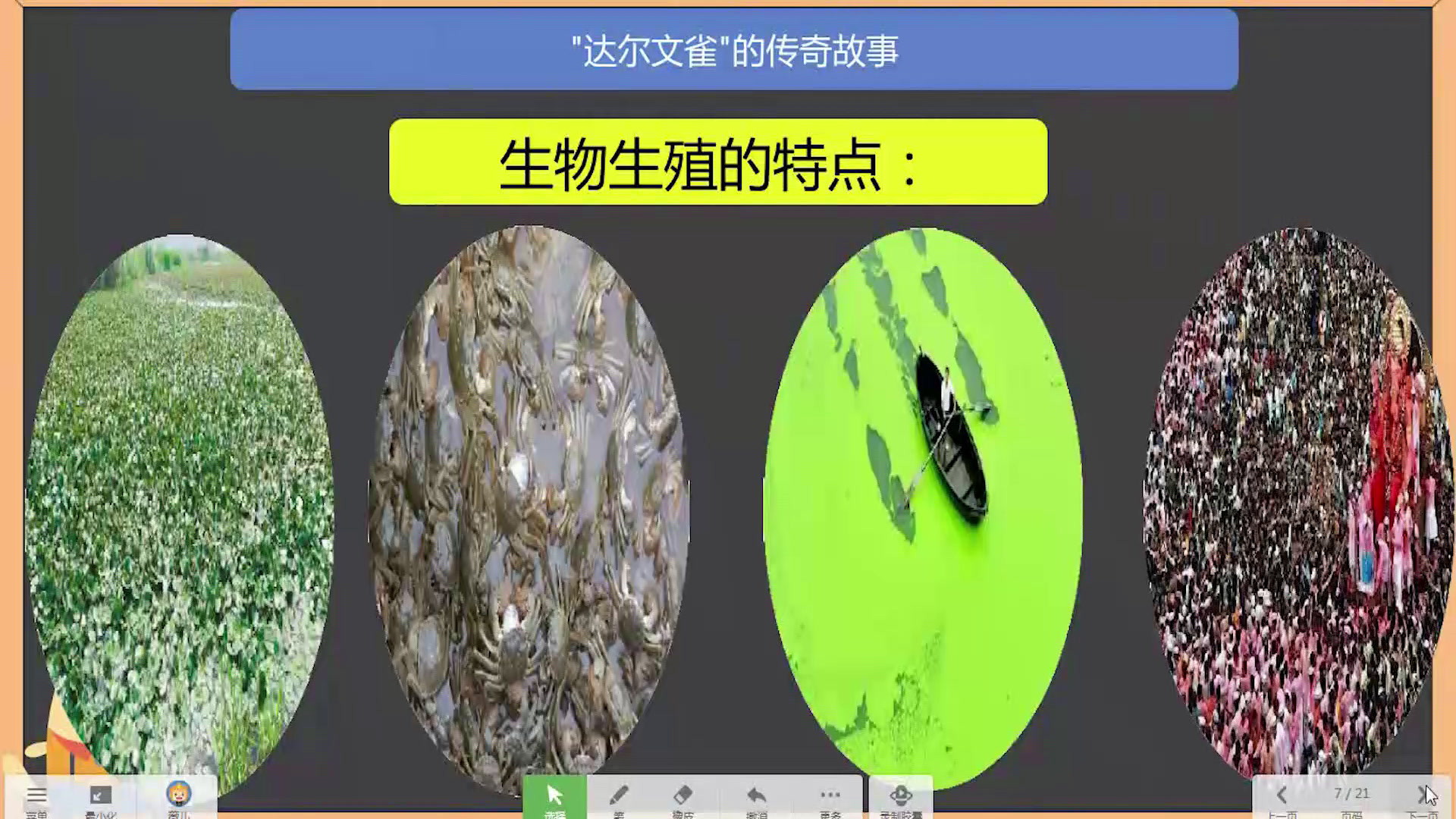 苏教版生物八上《第三节生物进化的学说》安徽任老师-省一等奖