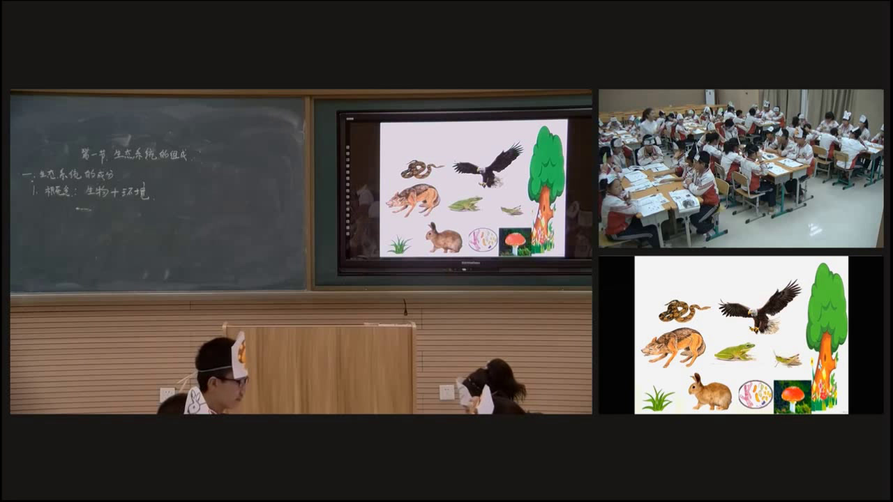 苏教版生物八上《第一节生态系统的组成》辽宁张老师-全国一等奖