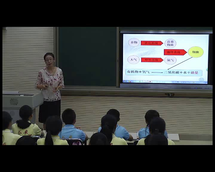 苏教版生物七下《第五节人体能量的供给》甘肃谢老师-全国一等奖