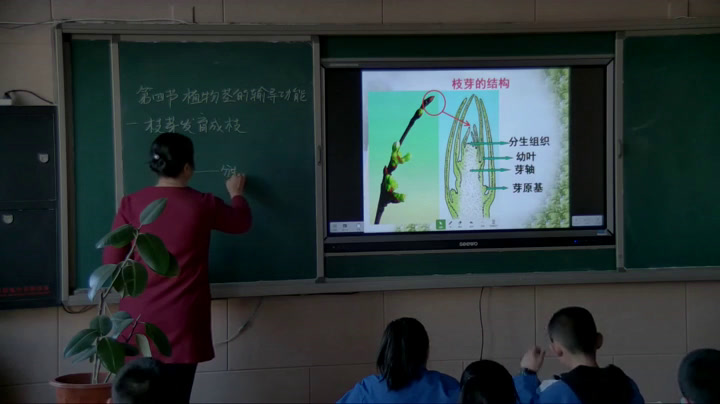 苏教版生物七上《第四节植物茎的输导功能》甘肃巨老师-市一等奖