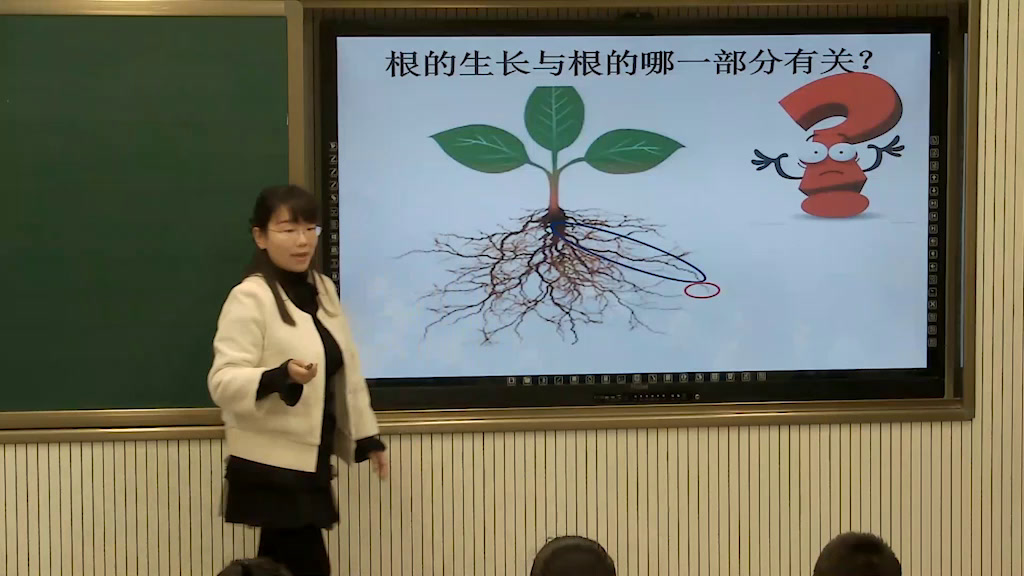 苏教版生物七上《第二节植物根的生长》甘肃宋老师-全国一等奖