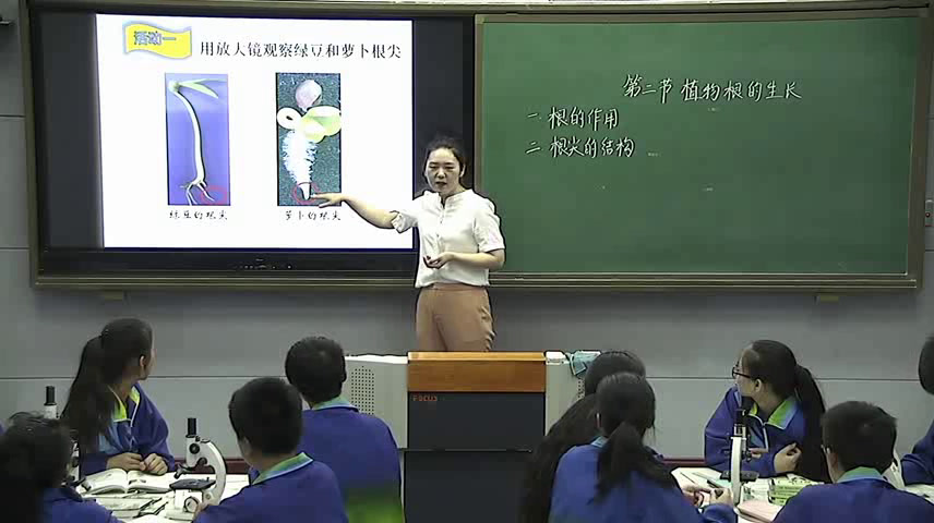 苏教版生物七上《第二节植物根的生长》河南张老师-全国一等奖