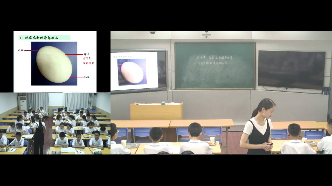 苏教版生物八下《第五节鸟类的生殖与发育》河南赵老师-全国一等奖
