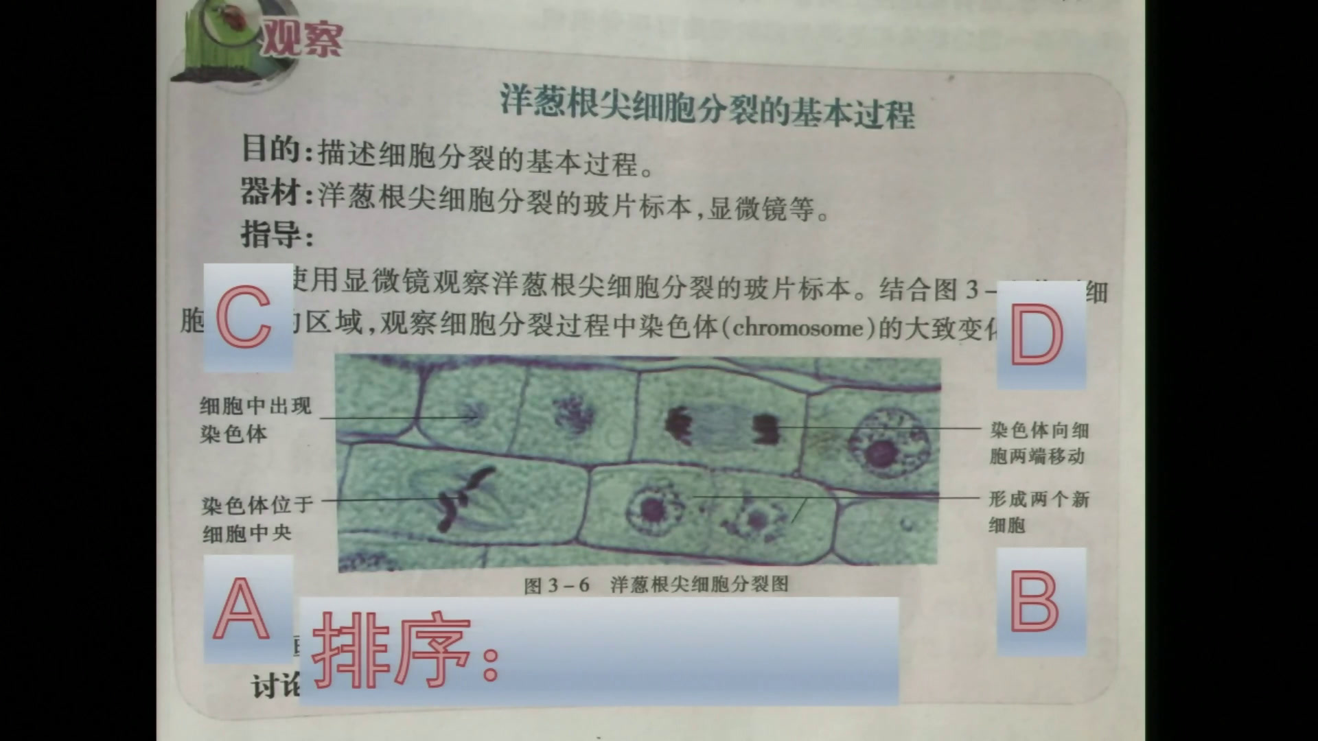 苏教版生物七上《第三节细胞分裂与分化》辽宁陈老师-市一等奖