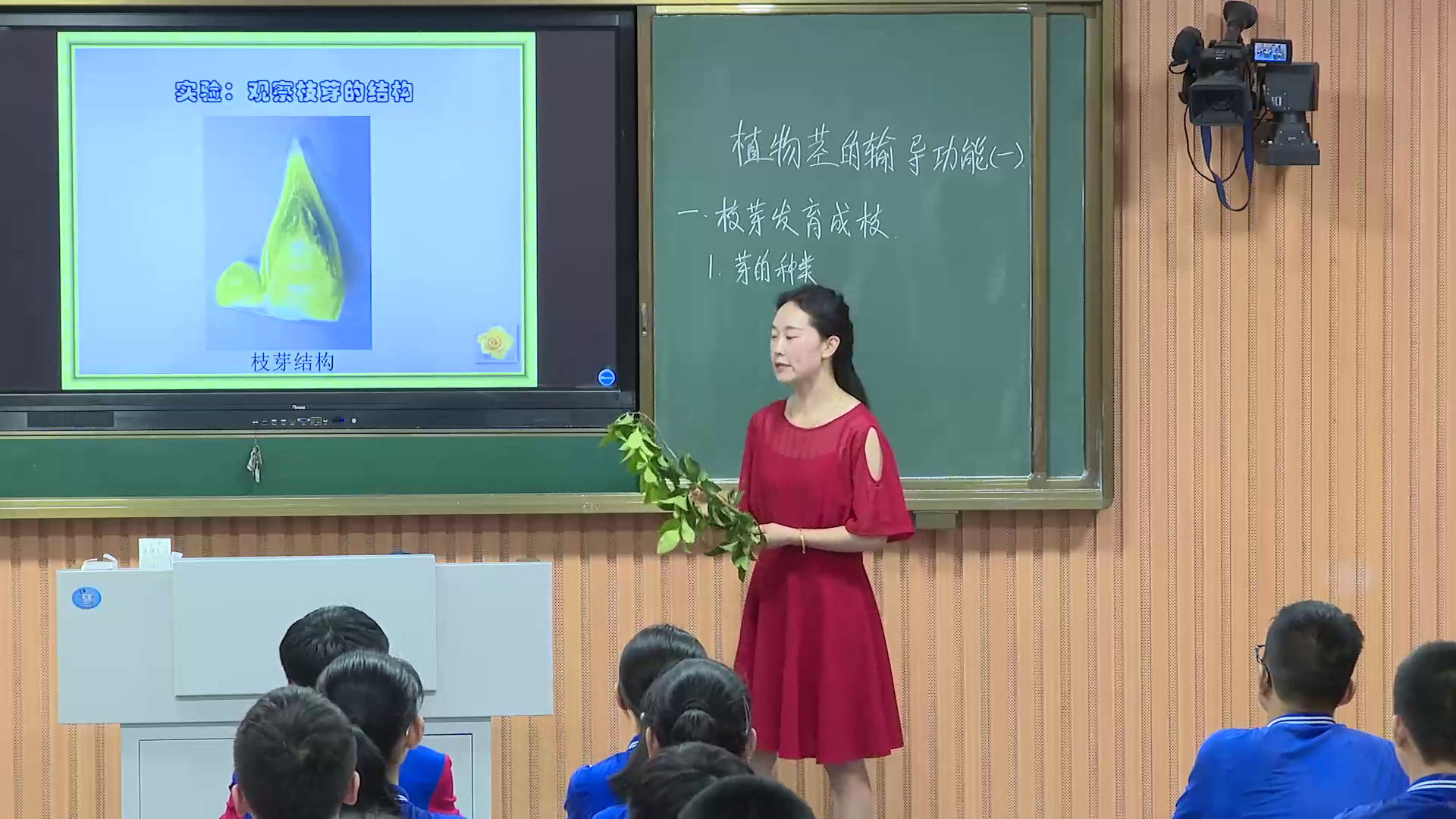 苏教版生物七上《第四节植物茎的输导功能》河南魏老师-省一等奖