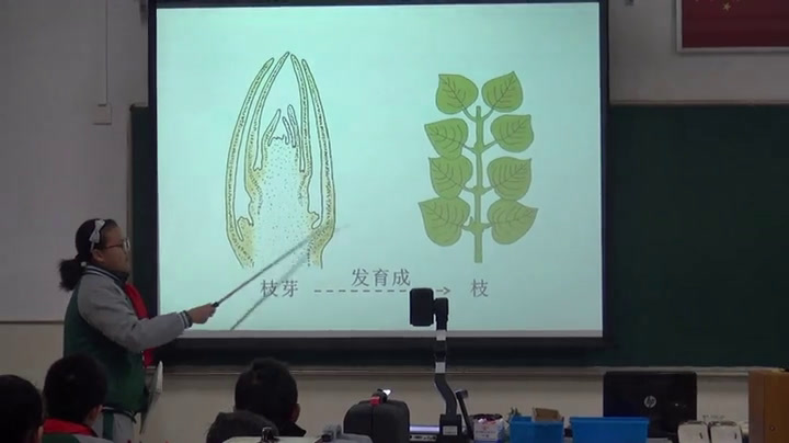 苏教版生物七上《第四节植物茎的输导功能》江苏骆老师-市一等奖