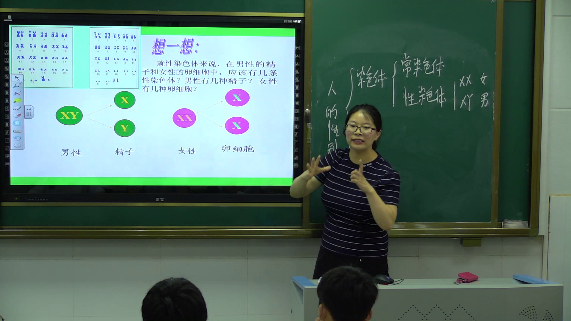 苏教版生物八下《第三节人的性别决定》安徽张老师-全国一等奖