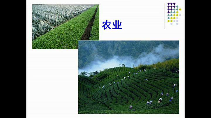 花城粤教版音乐三上《歌曲《捕鱼歌》》广东陈老师-市一等奖