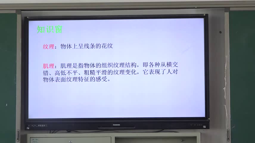 人教版美术三上《第9课　天然的纹理》安徽杨老师-市一等奖
