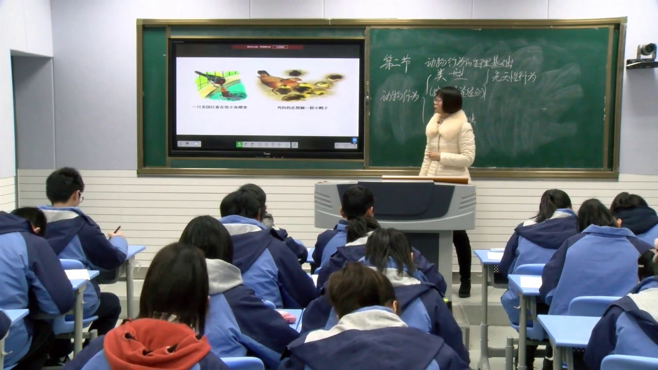 苏教版生物八上《第二节动物行为的生理基础》安徽王老师-县级优课