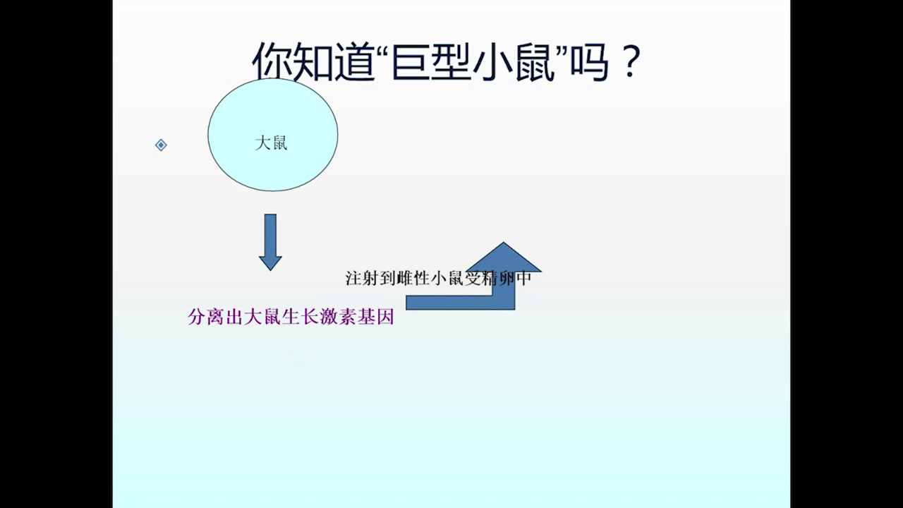 苏教版生物八下《第一节现代生物技术的应用》安徽张老师-市一等奖