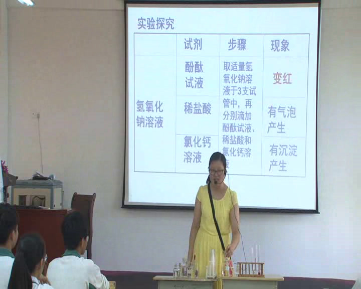 泸教版化学九下《整理与归纳》海南王老师-市一等奖
