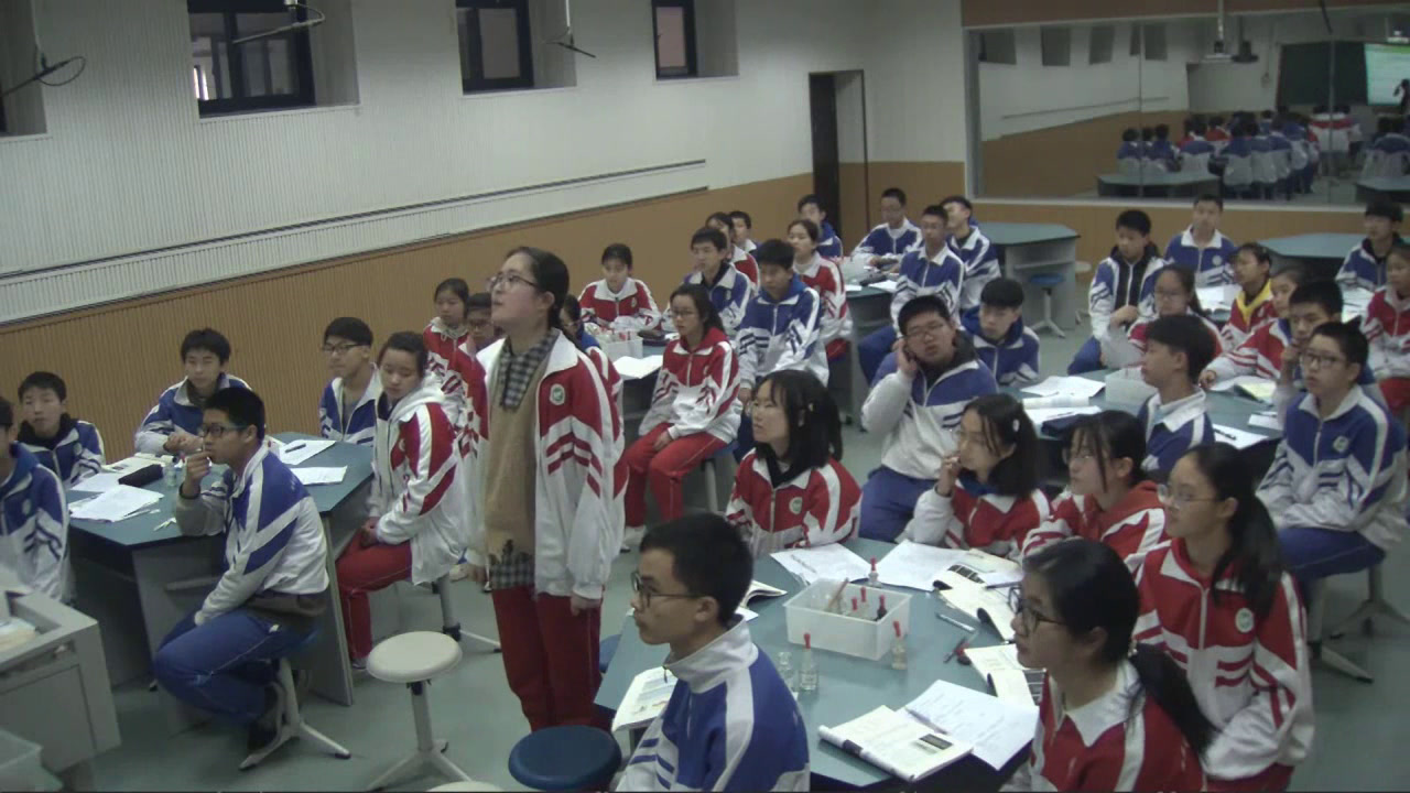 泸教版化学九下《酸的性质》四川郭老师-市一等奖