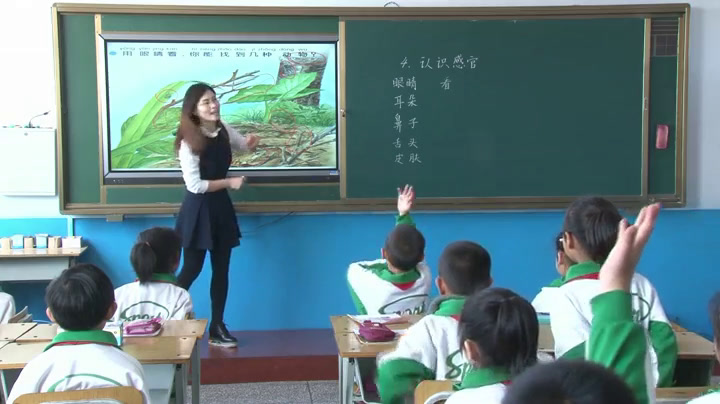 苏教2017版科学一上《4认识感官》辽宁郭老师-市一等奖