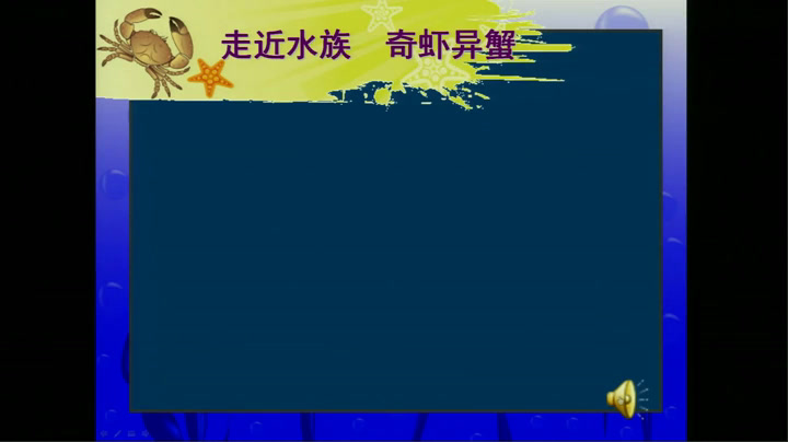 苏少版美术二上《第13课虾和蟹（一）》江苏吴老师-市一等奖