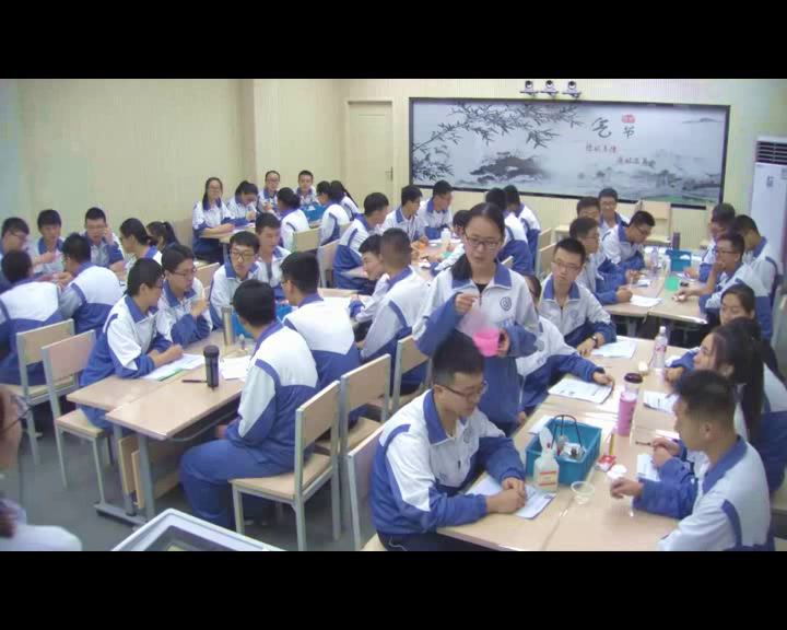 人教版化学选修2《课题2　表面活性剂　精细化学品》甘肃马老师-市一等奖