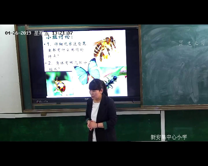 冀美版美术二上《11.昆虫王国》河南李老师-县级优课