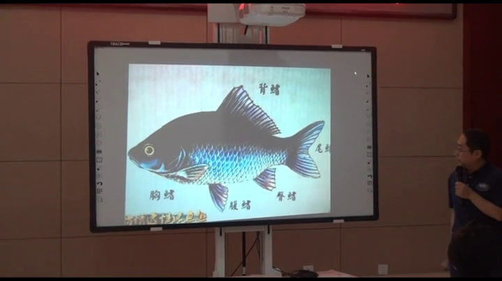 冀美版美术三上《18.画中的故事》河北胡老师-县级优课