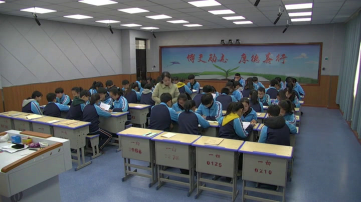 部编版语文九下《4海燕》河南秦老师-省一等奖