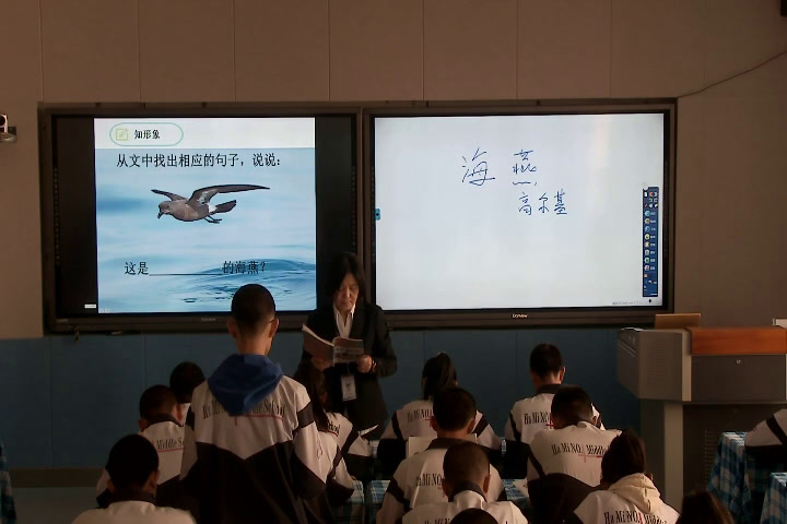 部编版语文九下《4海燕》新疆老师-市一等奖