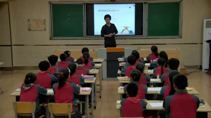 冀美版美术四上《3.撕纸拼贴》河北张老师-县级优课