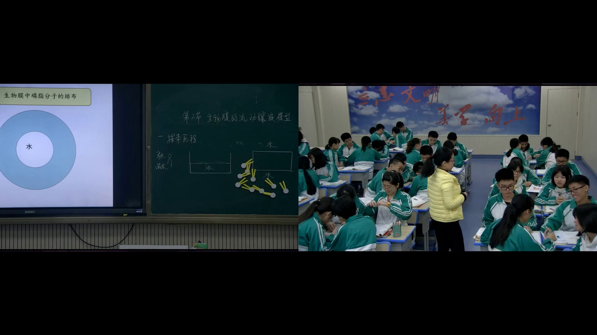 人教版生物必修1《第2节　生物膜的流动镶嵌模型》福建张老师-省一等奖