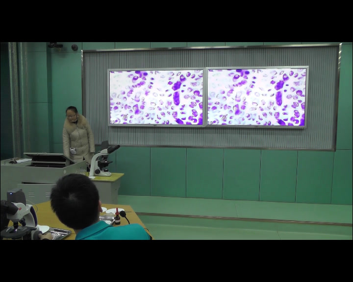 人教版生物必修1《第1节　细胞的增殖》湖北吴老师-全国一等奖