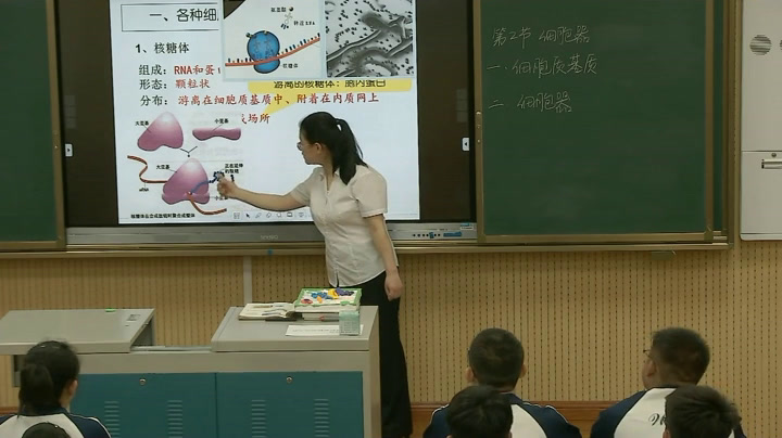 人教版生物必修1《全章复习与测试》山西郭老师-省一等奖
