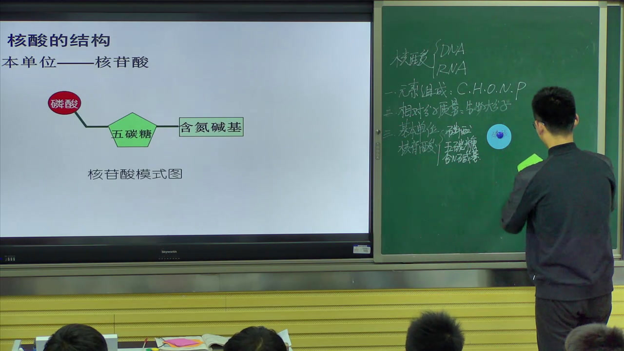 人教版生物必修1《第3节　遗传信息的携带者》安徽高老师-省一等奖